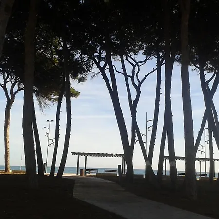 Cool 5 Minuts From The La Pineda