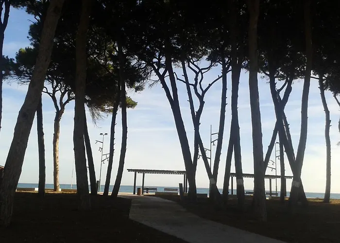 Cool 5 Minuts From The La Pineda